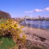 A Colourful Springtime View Towards Connel Bridge Argyll