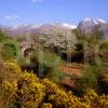 Springtime View West Highland Line With Ben Nevis Nr Corpach