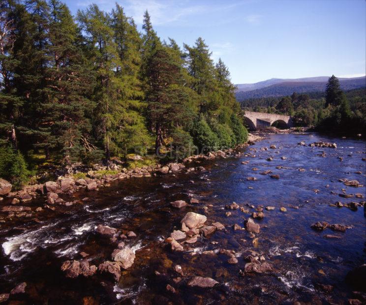 THE RIVER DEE AND INVERCAULD BRDIGE