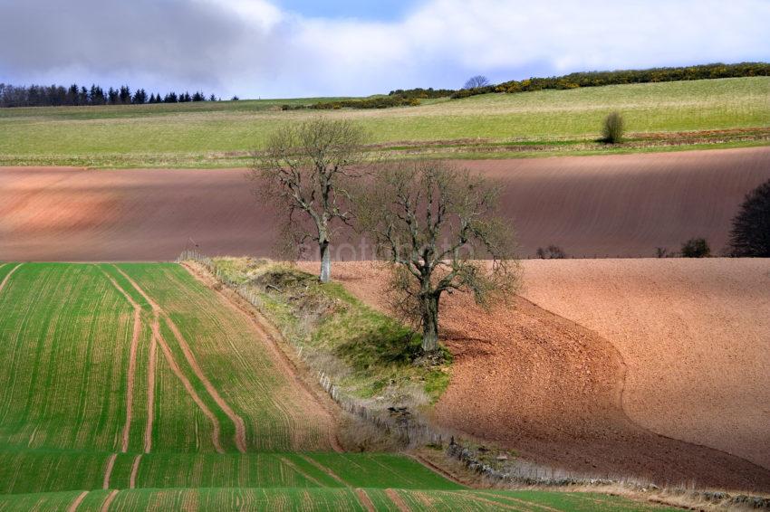 WY3Q9719 Rolling Fields Red Soil Perthshire