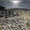 Old Jetty And Island Of Jura From Argyll Coast