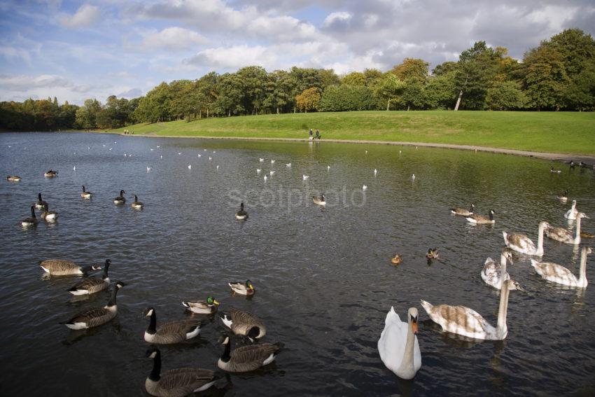 Sefton Park Liverpool