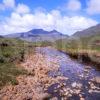 Towards Ben More From Glen More Mull