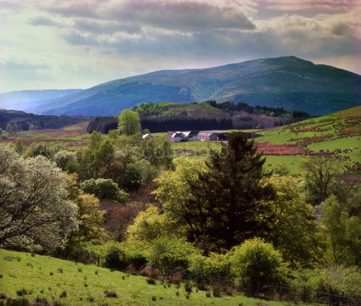 THE GREAT GLEN NEAR GLEN GLOY