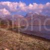 Spring View From The Flower Covered Shore Of Loch Linnhe Towards Ben Nevis From Corpach Lochaber West Highlands