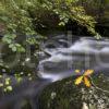 0I5D1552 Long Exposure Flowing River In Steep Glen