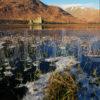 Frosty Scene Portrait To Kilchurn Castle Loch Awe