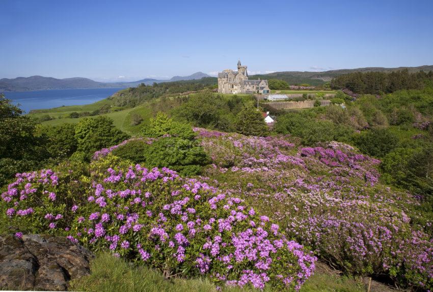 WY3Q8729 Stunning Location Of Glengorm Castle Mull Spring