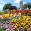 Colourful Gardens In The Park At Castle Douglas Kirkcudbrightshire