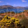 Spring View Across Loch Carron To Loch Carron Village