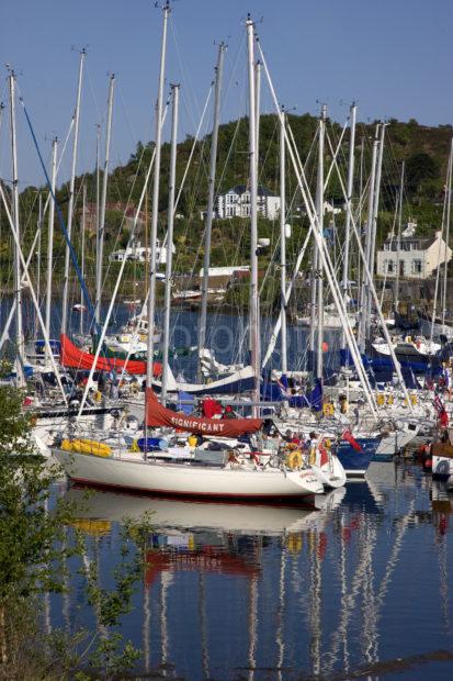 Portrait Of Yachts In Tarbert