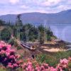 Sprinter On West Highland Line On Loch Carron Kyle Line