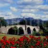 Old Stirling Bridge And Wallace Monument Stirling