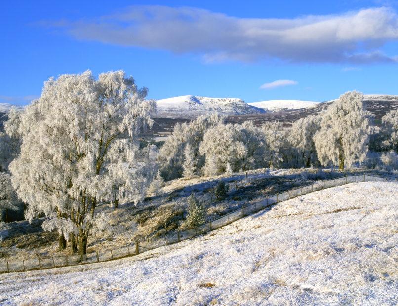 Winter Wonderland Near Newtonmore Badenoch And Strathspey