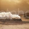 Steam Train