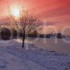 Winter Sunset From The Frozen Shore Of Linlithgow Loch With Distant Linlithgow Palace West Lothian