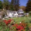 An Cala Garden In Ellen A Beiach Easdale