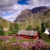 Spring In Glencoe