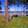 VIEW FROM KAMES NR TIGHNABRUAICH TOWARDS BUTE