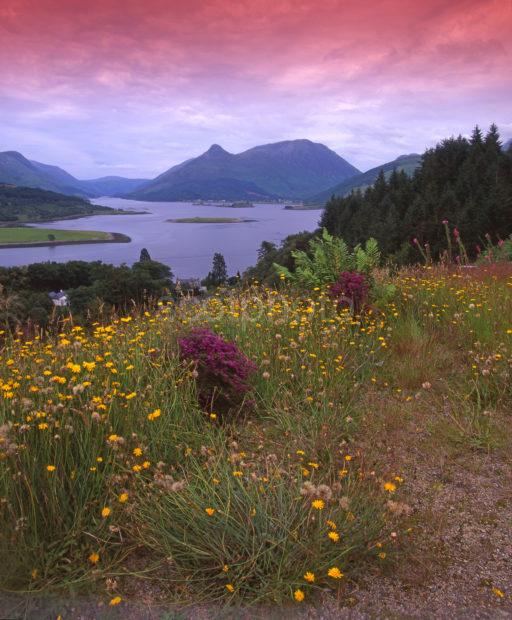 Pap Of Glencoe