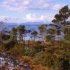 View Towards Rhum And Eigg From Loch Ailort Moidart West Highlands