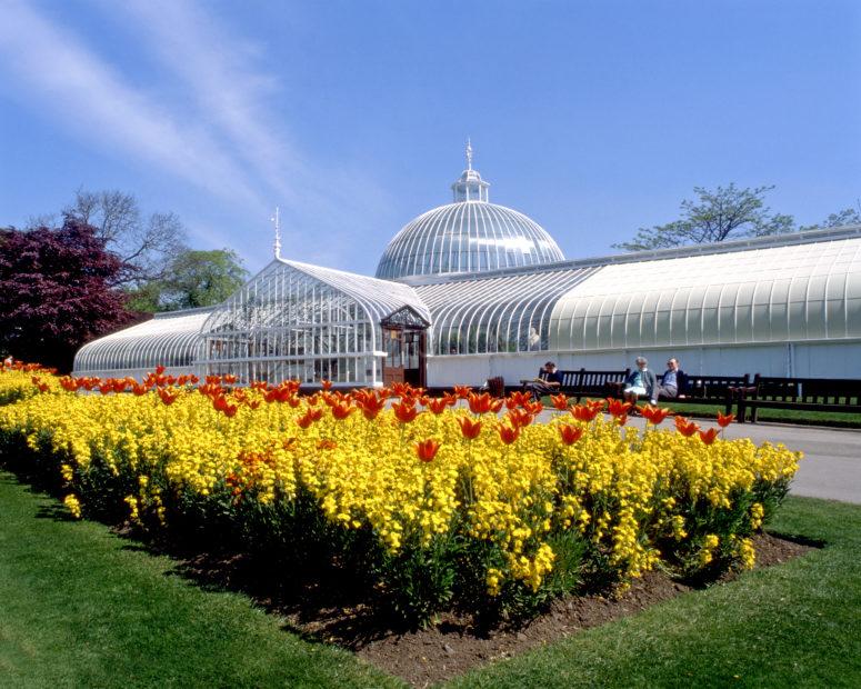 Kibble Palace Glasgow Botanical Gardens
