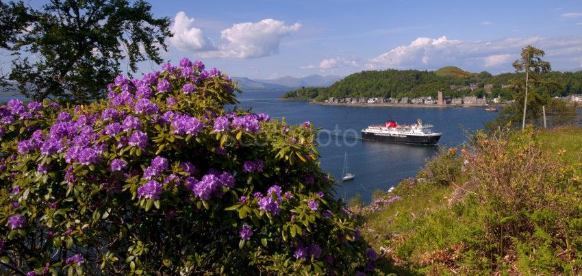 MV ISLE OF MULL ARRIVES OBAN BAY MEDIUM