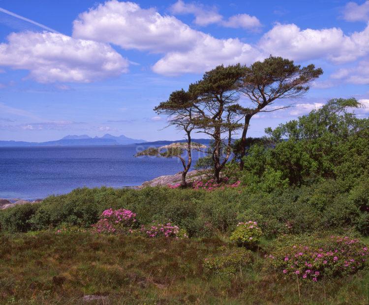 View From Roshven Towards The Islands Of Eigg And Rhum Lochailort North West Highlands