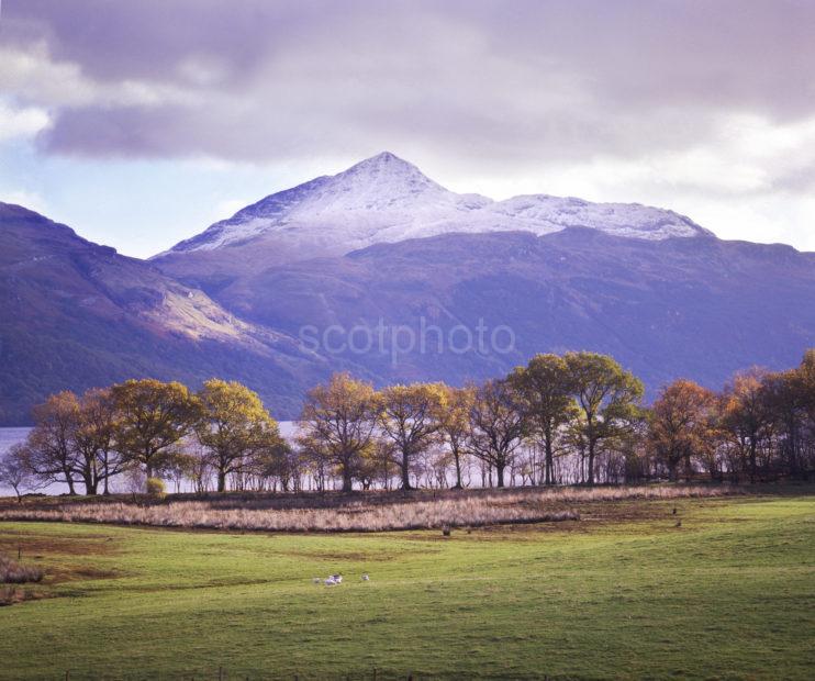 Late Autumn On Loch Lomond With Ben Lomond Dumbartonshire