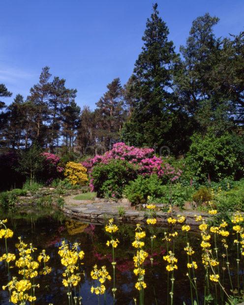 Untitled 150 Pond In Arduiane Gardens NTS Loch Melfort