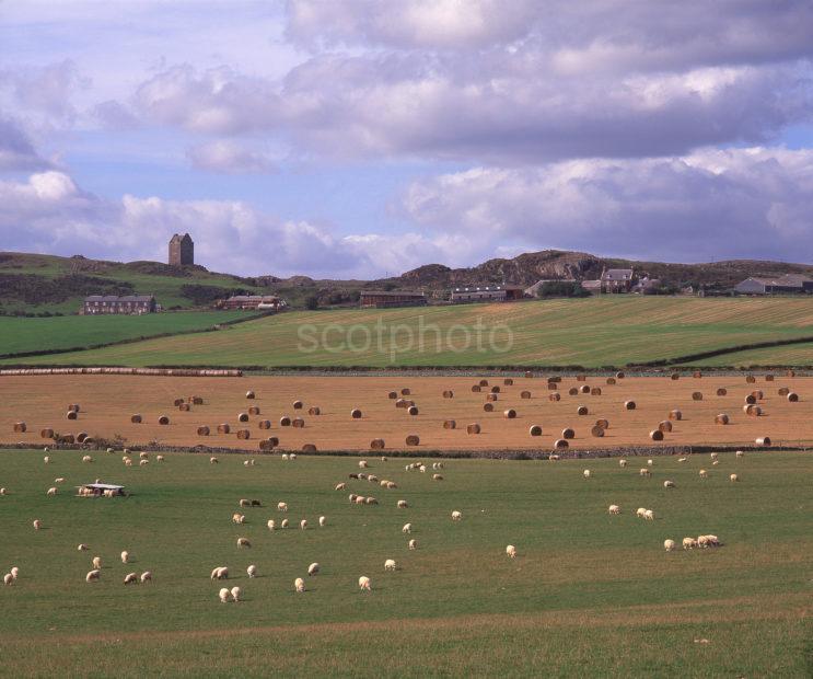 A Beautiful Summer View Towards Castle Of Smailholm As Seen From Across Borders Countryside Scottish Borders