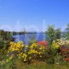 Magnificent Spring Colours On Loch Etive With Distant Connel View And Mull Connel Argyll