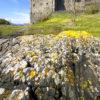 9793 Dramatic View Of Eilean Donan Castle Loch Duich