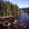 THE RIVER DEE AND INVERCAULD BRDIGE