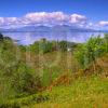 View Towards Dunollie Castle And Distant Mull Oban Argyll