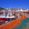 A Colourful Scene In Pittenweem Harbour East Neuk Fife