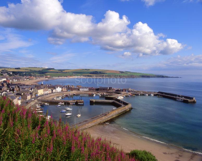 Stonehaven Harbour And Town In Summer 1