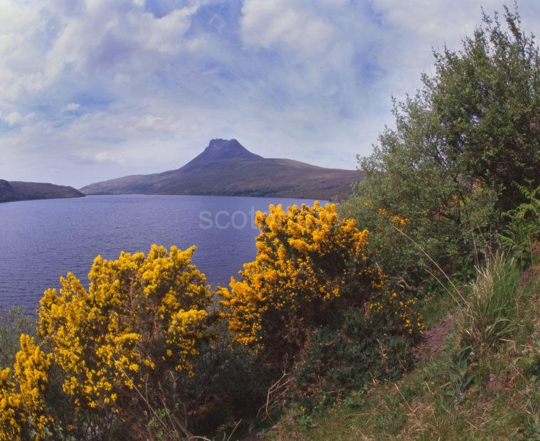 Spring View Of Stac Pollaidh Sutherland NW Highlands