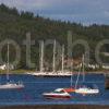 Tall Ship And Yachts In The Holy Loch