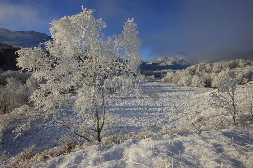 Winter Wonderland Glenfinnan