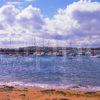 A Busy Scene In The Picturesque Harbour Of Elie East Neuk Fife