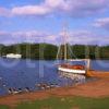 Salhouse Broad Norfolk Broads England