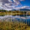 Loch Tulla Summer