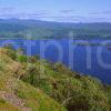 Summer View Of Loch Awe From The Slopes Of Ben Cruachan Argyll