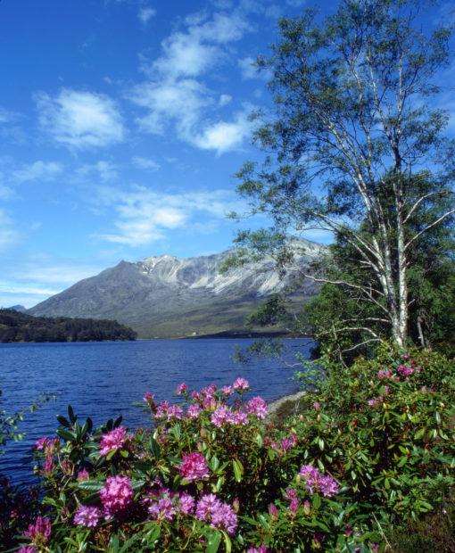 Springtime On Loch Clair Towards Beinn Eighe Torridon