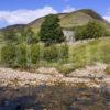 WY3Q9934 Kirk River Shearwater Spittal Of Glenshee 47M