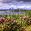 Springtime At Eriska With Morvern Hills