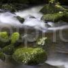 0I5D1433 Green Boulders In Flowing River