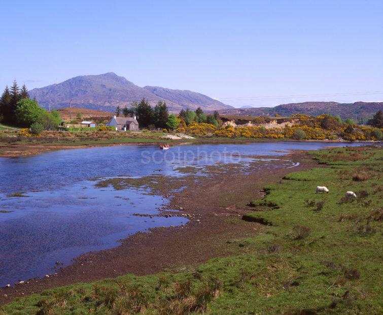 Spring View From Shiel Bridge In Acharacle At The Westward End Of Loch Shiel Ardnamurchan Highlands