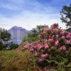 SPRINGTIME IN TORRIDON TOWARDS BEINN ALLIGIN